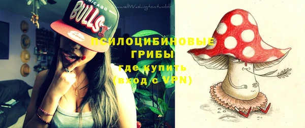 ALPHA PVP Бородино